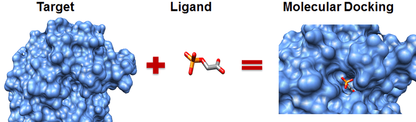 Esquema de elementos do docking molecular: receptor, ligante e sítio de ligação.
